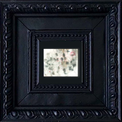 PP56 XS14-The Sniper (21x17cm)