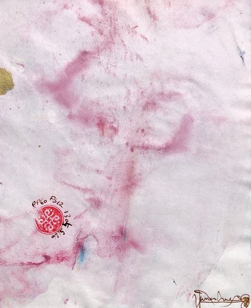 PP60 XS5-The writer from Norway (17x21cm)