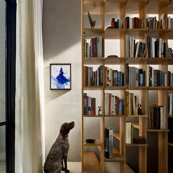 PP51 XS03 The Girl from Iceland