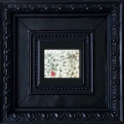 PP56 XS2-The Sniper (21x17cm)