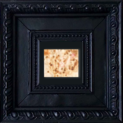 PP56 XS16-The Sniper (21x17cm)