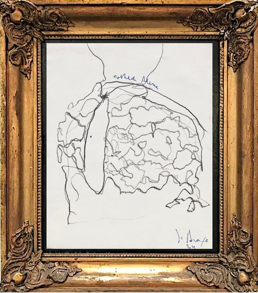 PP53 XS23-The Vermeer's daughter