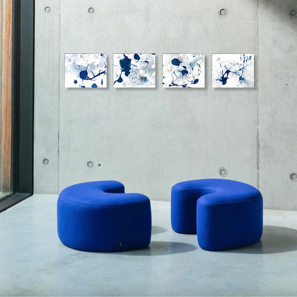 PP47 XS5-The Africa Lover