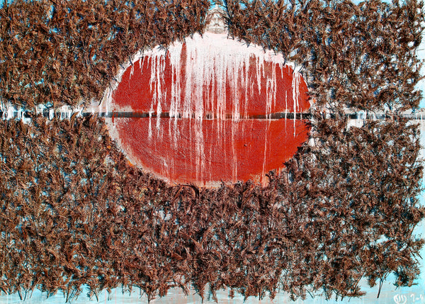 The Beginning of the Forest