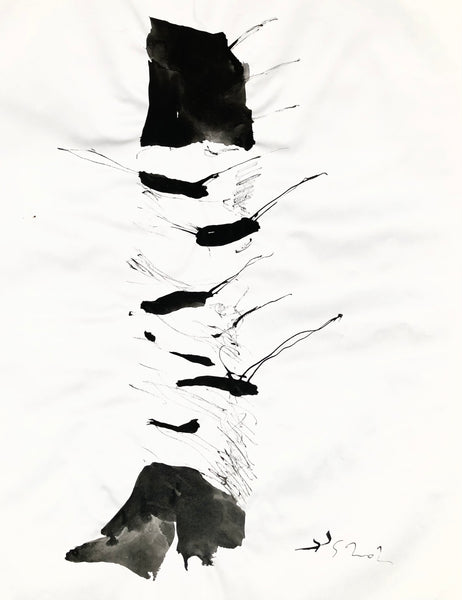 Arbre ciel - Bouleau 6