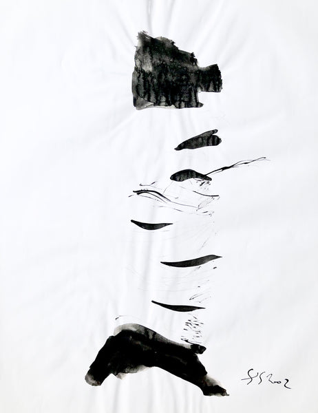 Arbre ciel - Bouleau 3