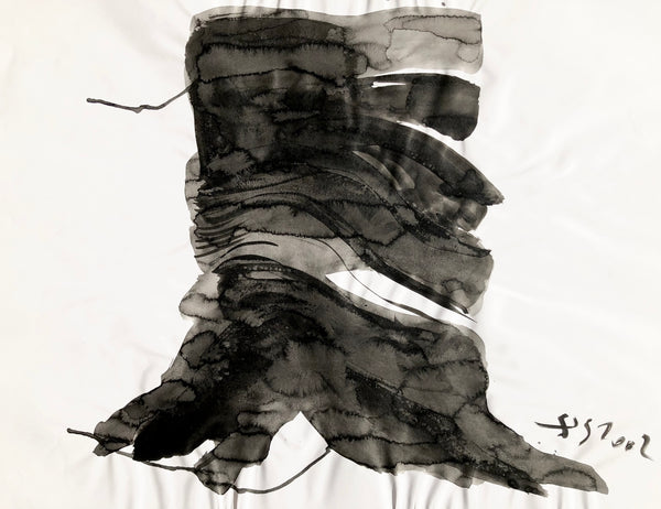 Arbre ciel - Bouleau 7