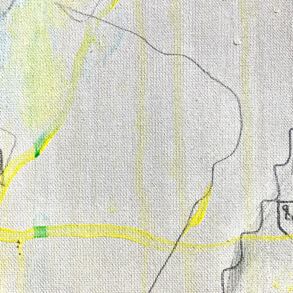 UNA FAMILIA DE GUAYAS