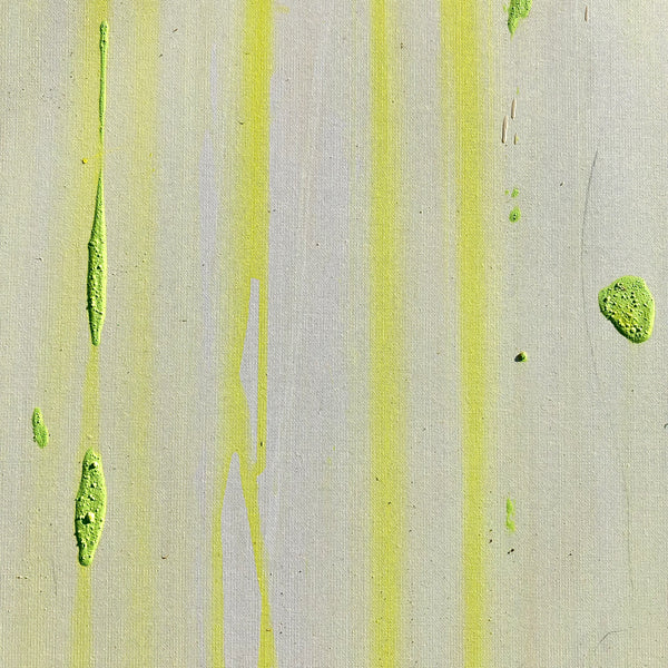 UNA FAMILIA DE GUAYAS