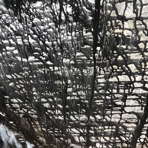 Amazone à la mantille