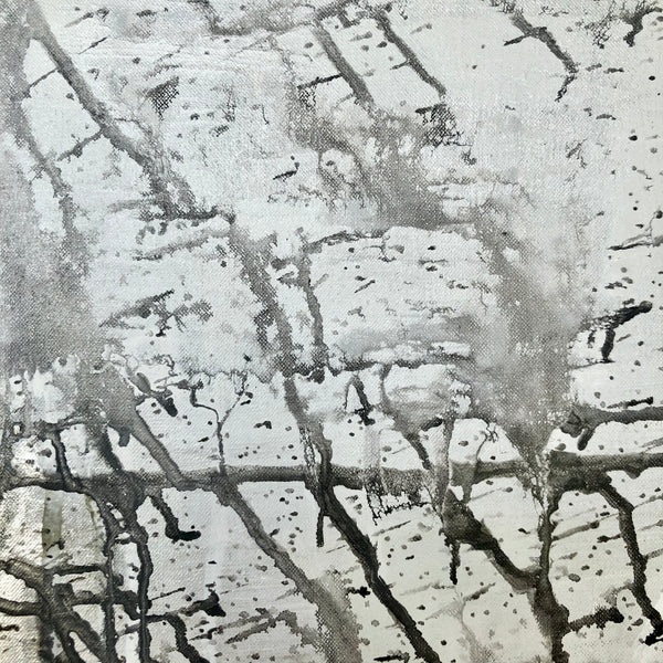 Amazone à la mantille