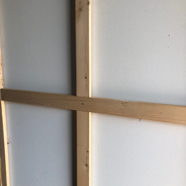 Amazone à la mantille