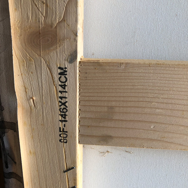 Amazone à la mantille