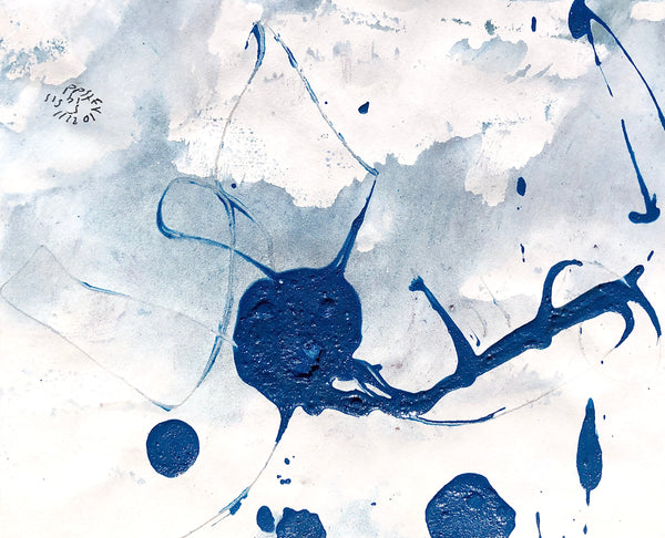 PP47 XS5-The Africa Lover