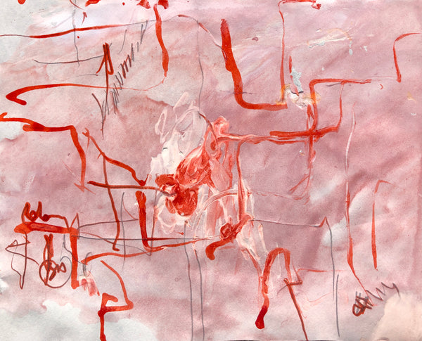 PP40 XS12-The man from Havana