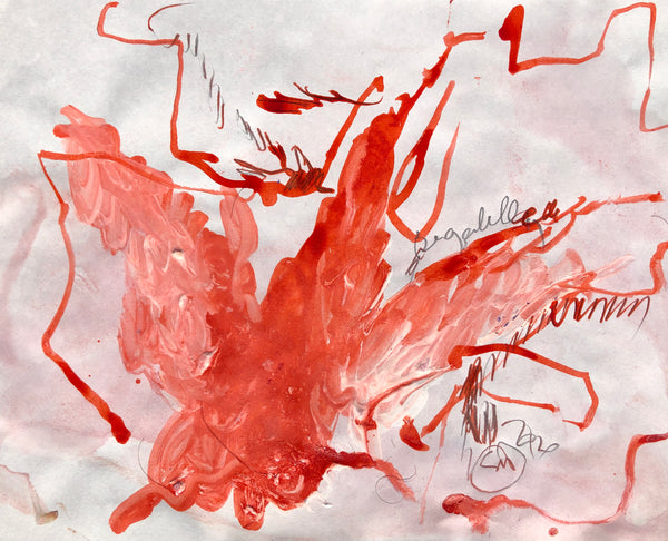 PP40 XS8-The man from Havana