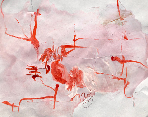 PP40 XS9-The man from Havana