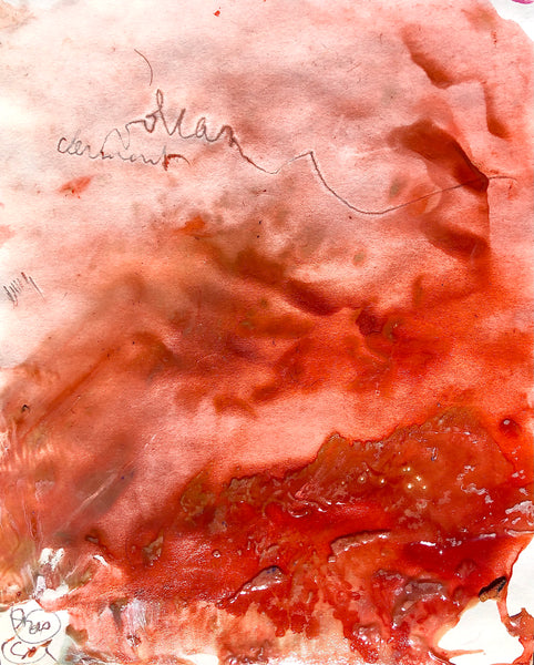 PP40 XS14-The man from Havana