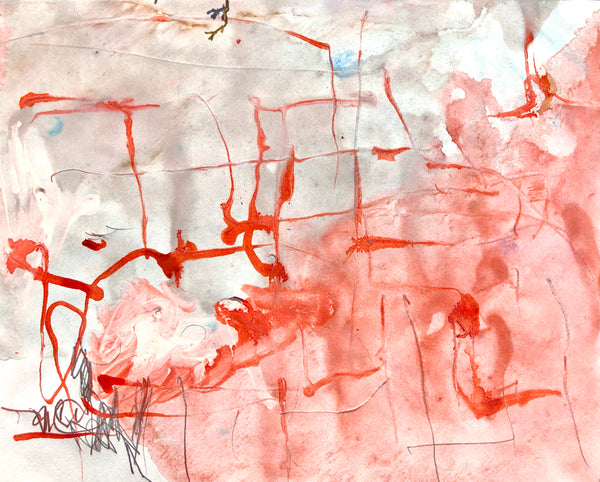 PP40 XS11-The man from Havana