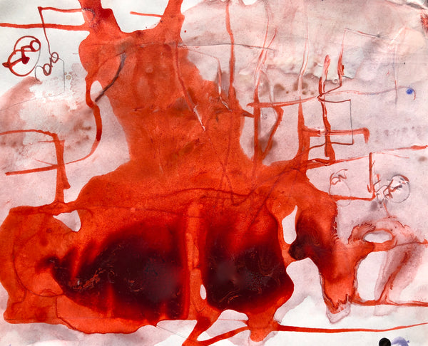 PP40 XS7-The man from Havana