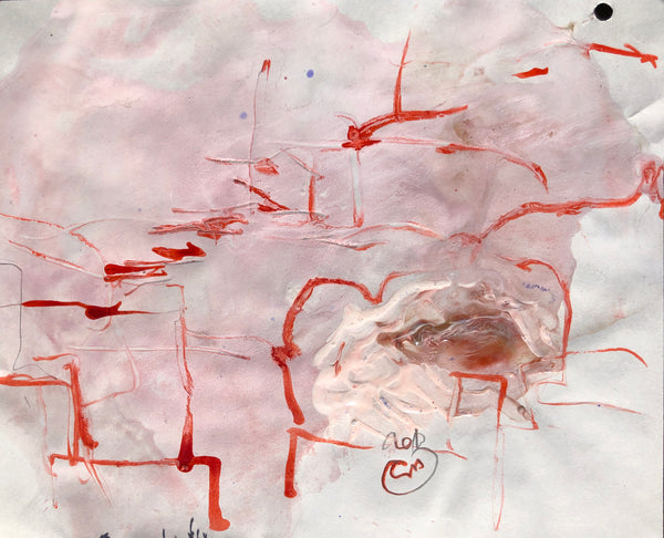 PP40 XS13-The man from Havana