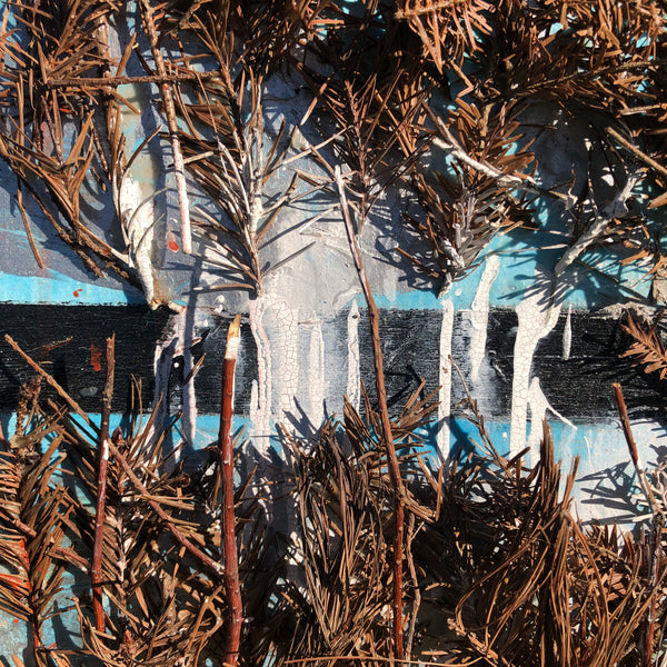 The Beginning of the Forest