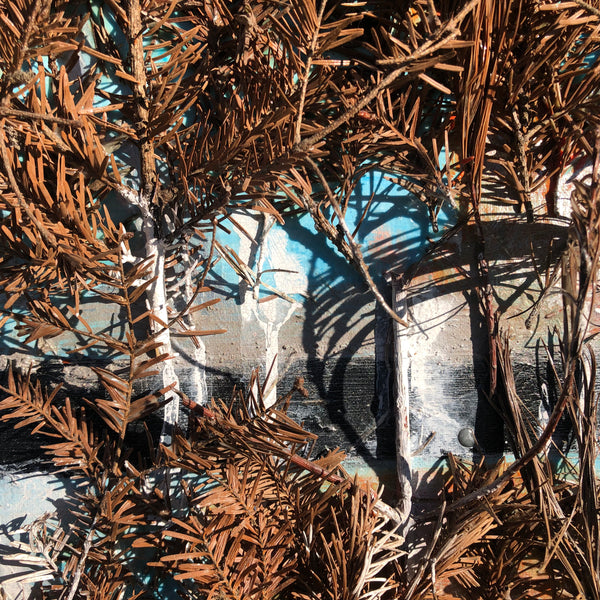 The Beginning of the Forest