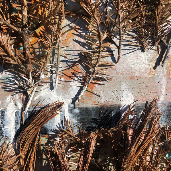 The Beginning of the Forest