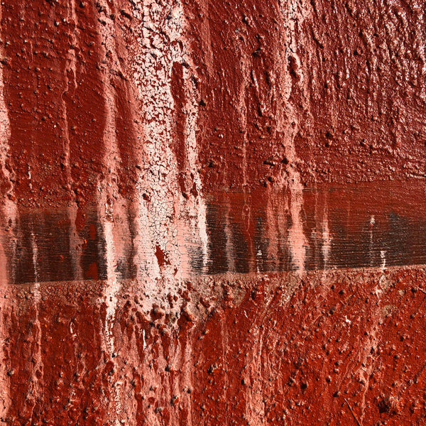 The Beginning of the Forest