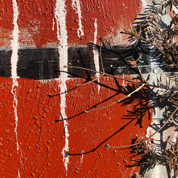 The Beginning of the Forest