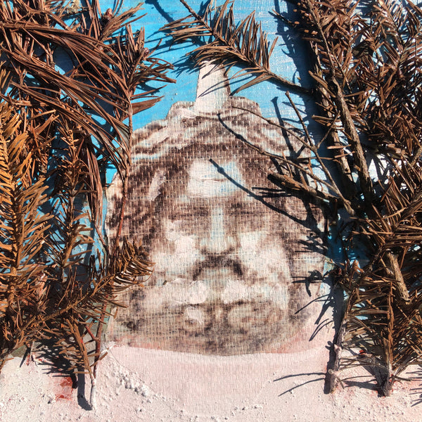 The Beginning of the Forest