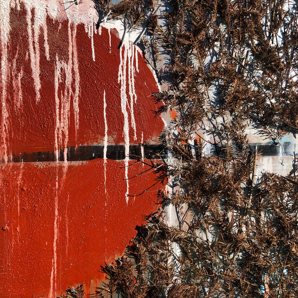 The Beginning of the Forest