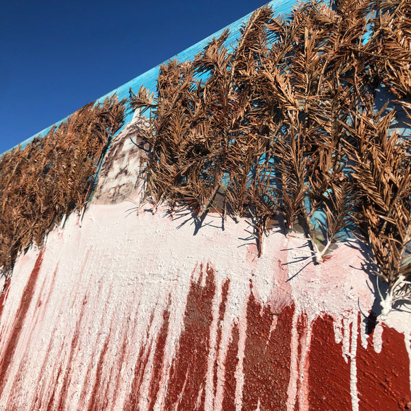 The Beginning of the Forest