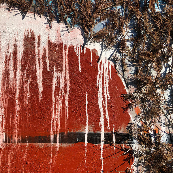 The Beginning of the Forest