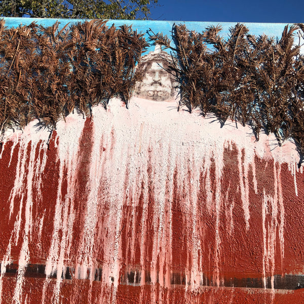 The Beginning of the Forest