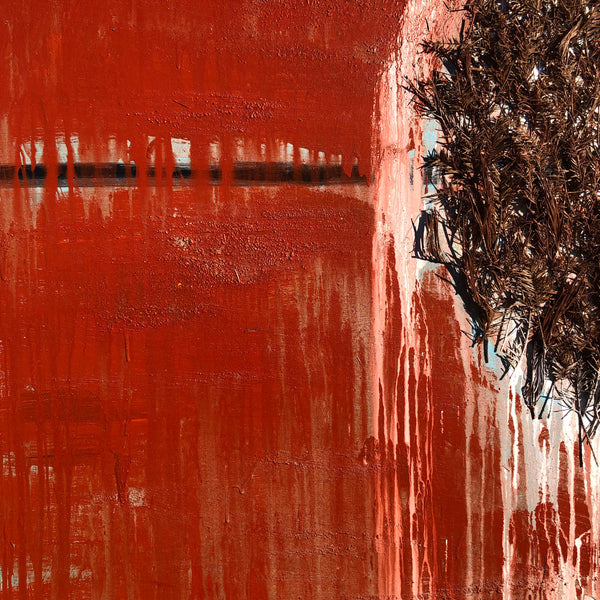 The End of the Forest