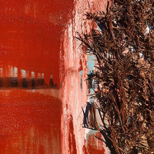 The End of the Forest