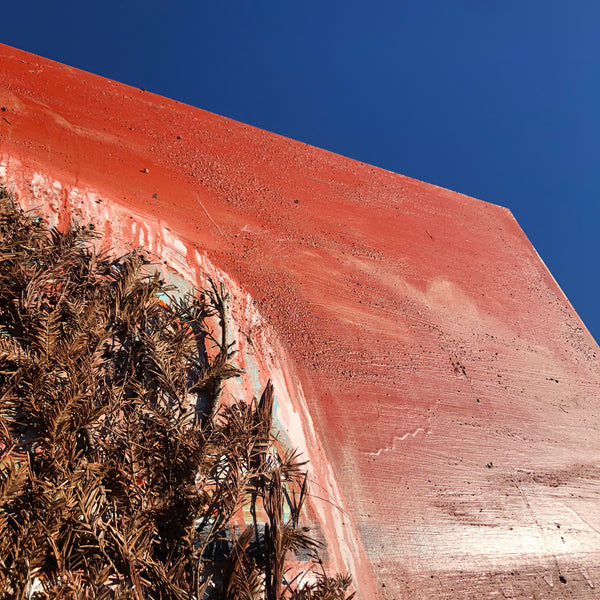 The End of the Forest