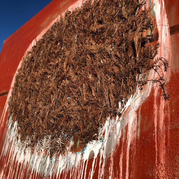 The End of the Forest