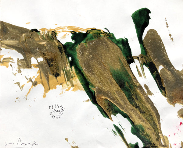 PP53 XS20-The Vermeer's daughter