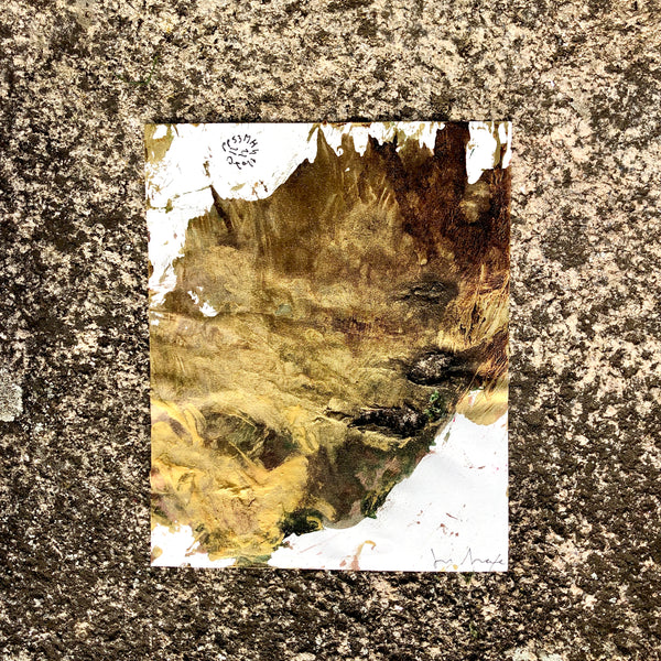 PP53 XS21-The Vermeer's daughter