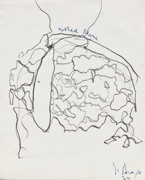 PP53 XS23-The Vermeer's daughter