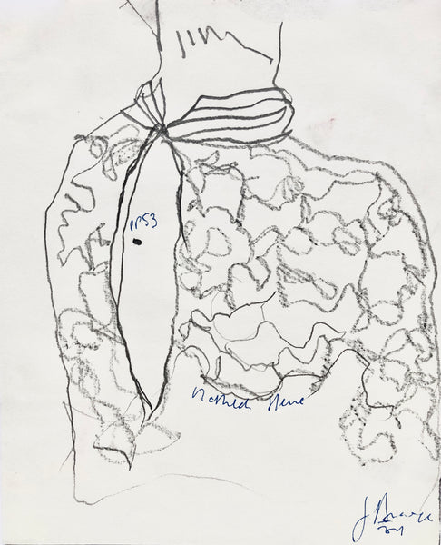 PP53 XS24-The Vermeer's daughter