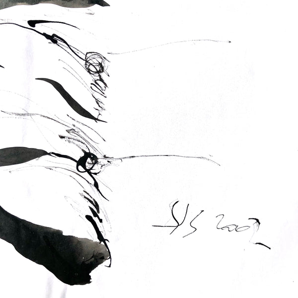 Arbre ciel - Bouleau 1