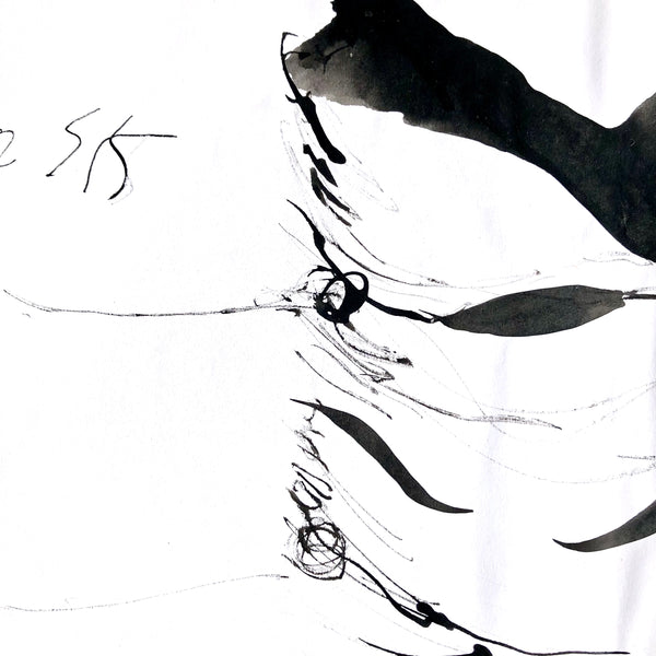 Arbre ciel - Bouleau 1