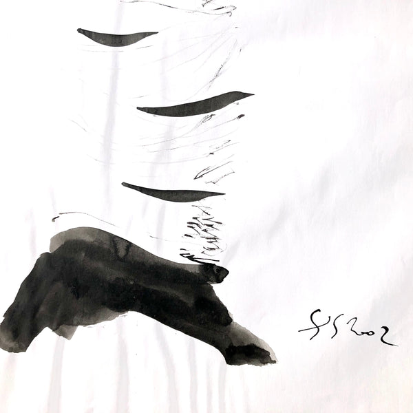 Arbre ciel - Bouleau 3