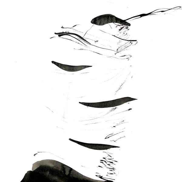 Arbre ciel - Bouleau 3