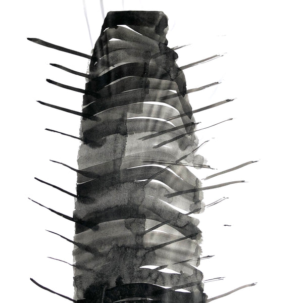 Arbre ciel - Bouleau 4