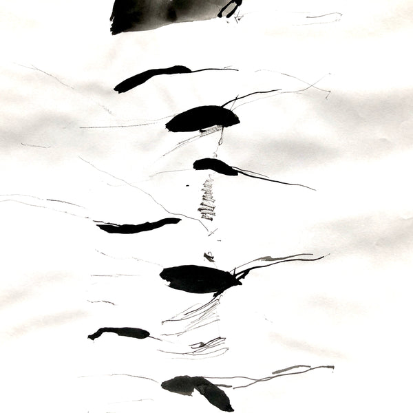 Arbre ciel - Bouleau 5