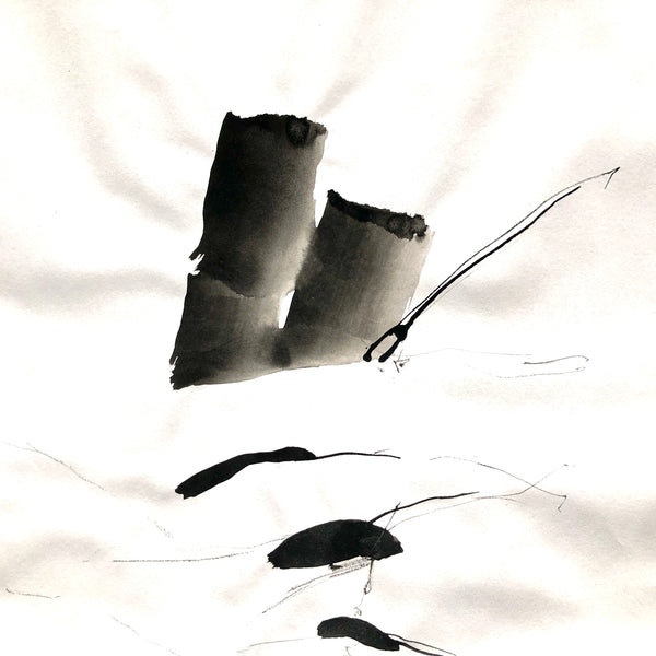 Arbre ciel - Bouleau 5